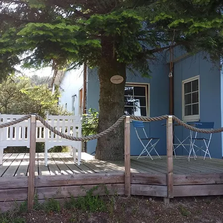 Kleine Mit Hund By Interhome Lutow