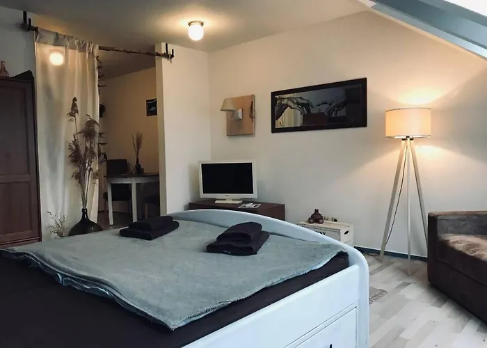 Kleine Mit Hund By Interhome Apartamento